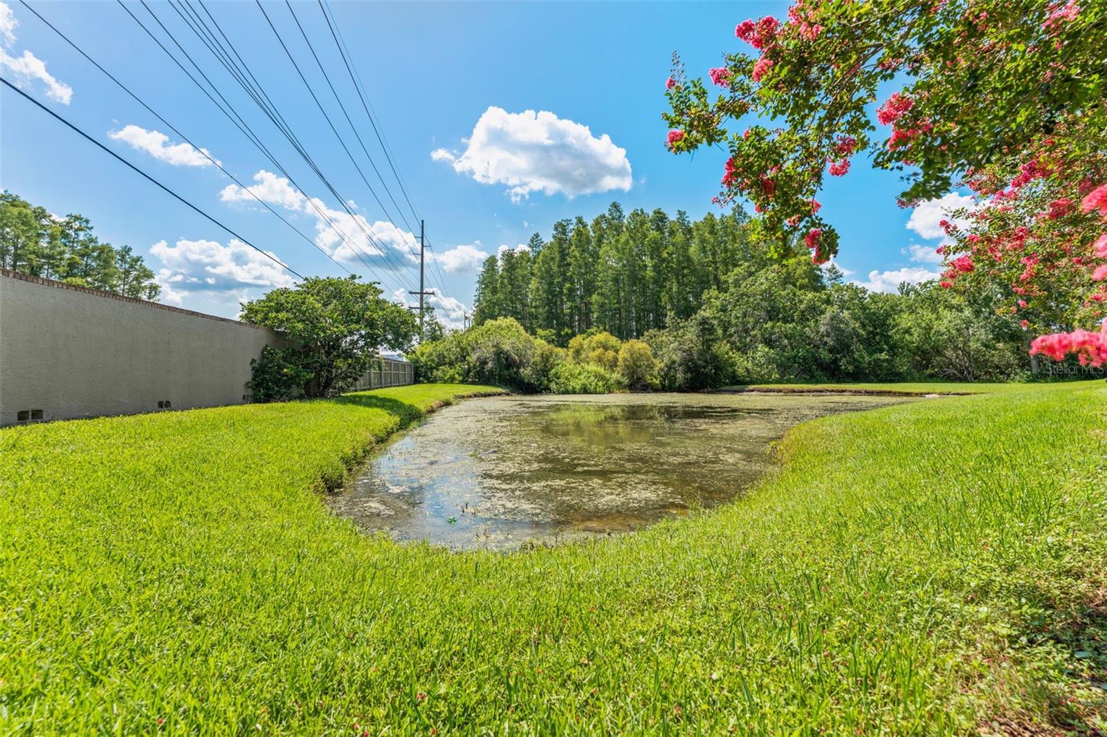 Image 44 of 51 For 12910 Vicksburg Drive