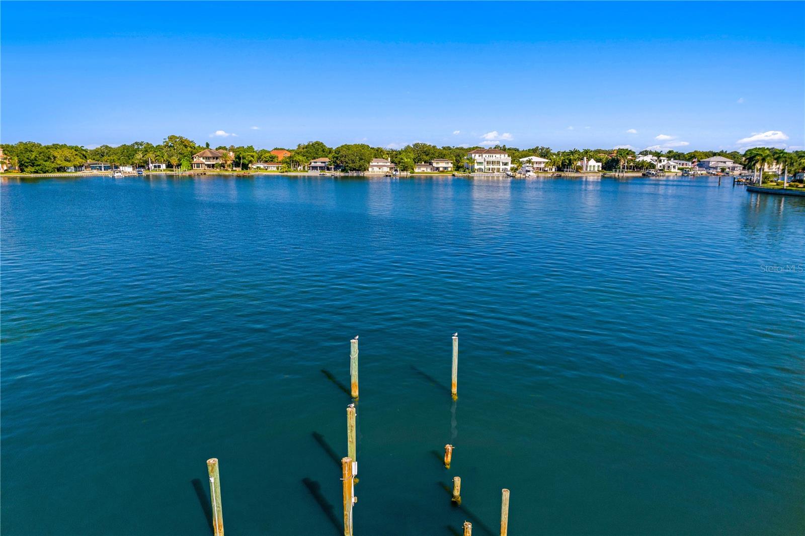 Listing photo id 7 for 1900 Brightwaters Boulevard Ne