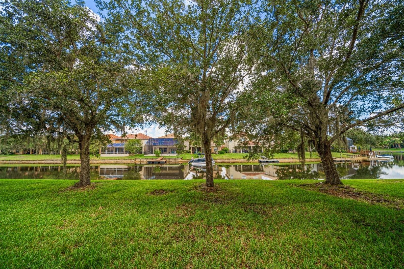 Image 12 of 25 For 10921 Cory Lake Drive
