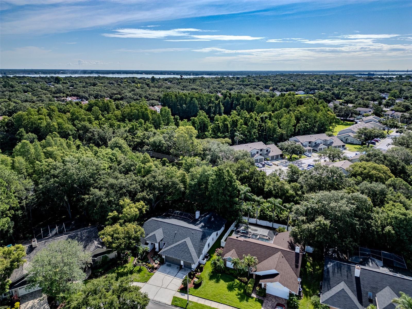 Image 31 of 41 For 910 Kingscote Court