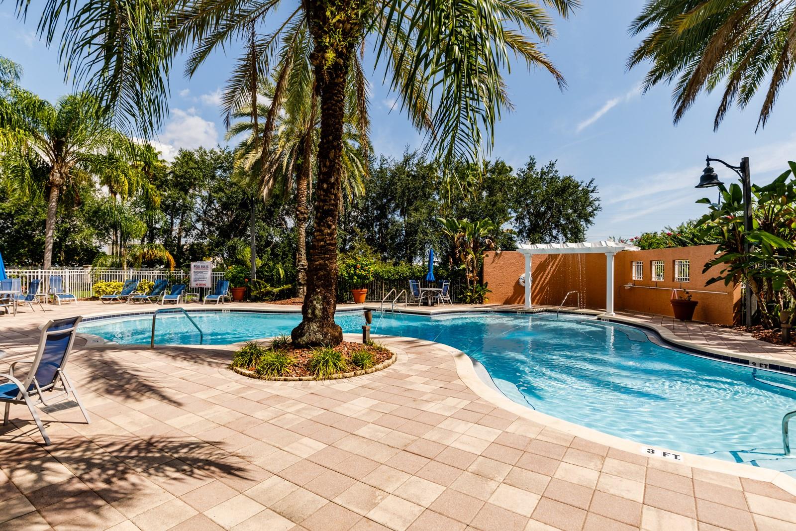 Image 32 of 39 For 12077 Gandy Boulevard N 333