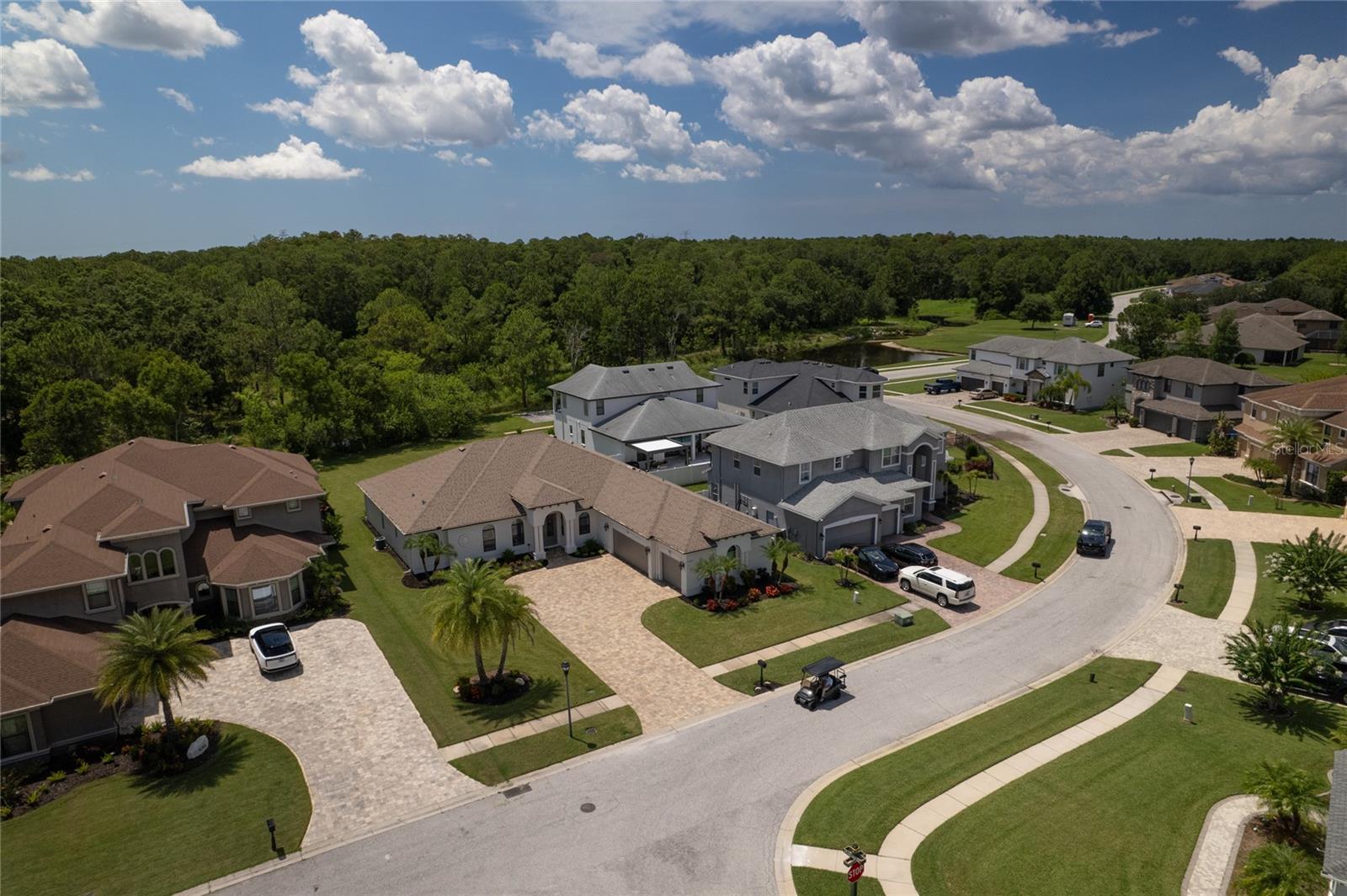 Image 46 of 63 For 16304 Wild Mallard Drive