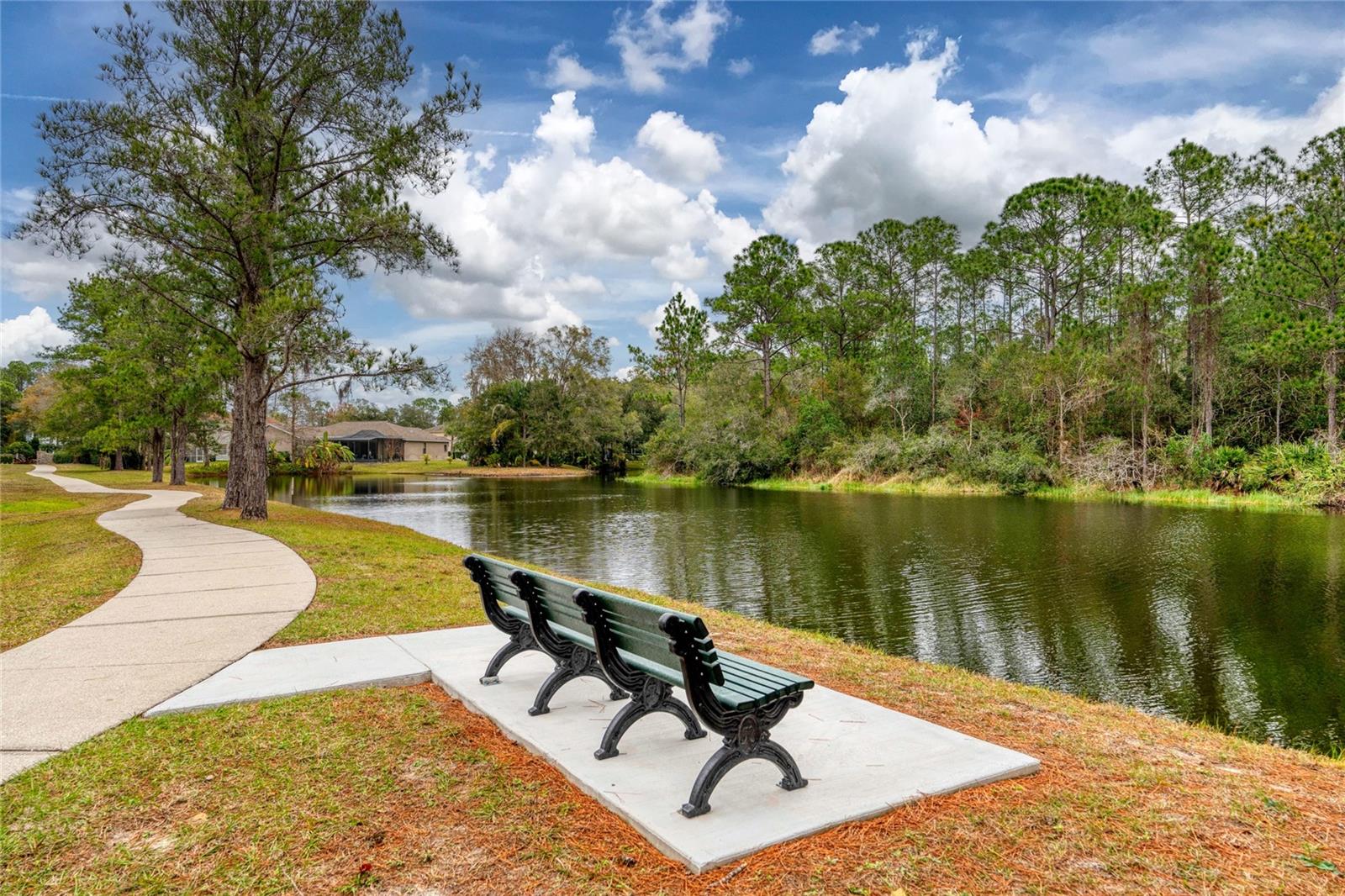 Image 61 of 63 For 16304 Wild Mallard Drive