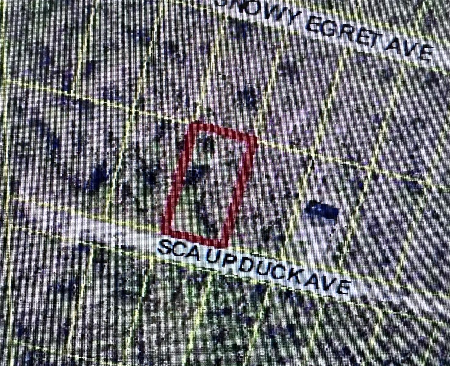 Image 4 of 6 For Scaup Duck Avenue