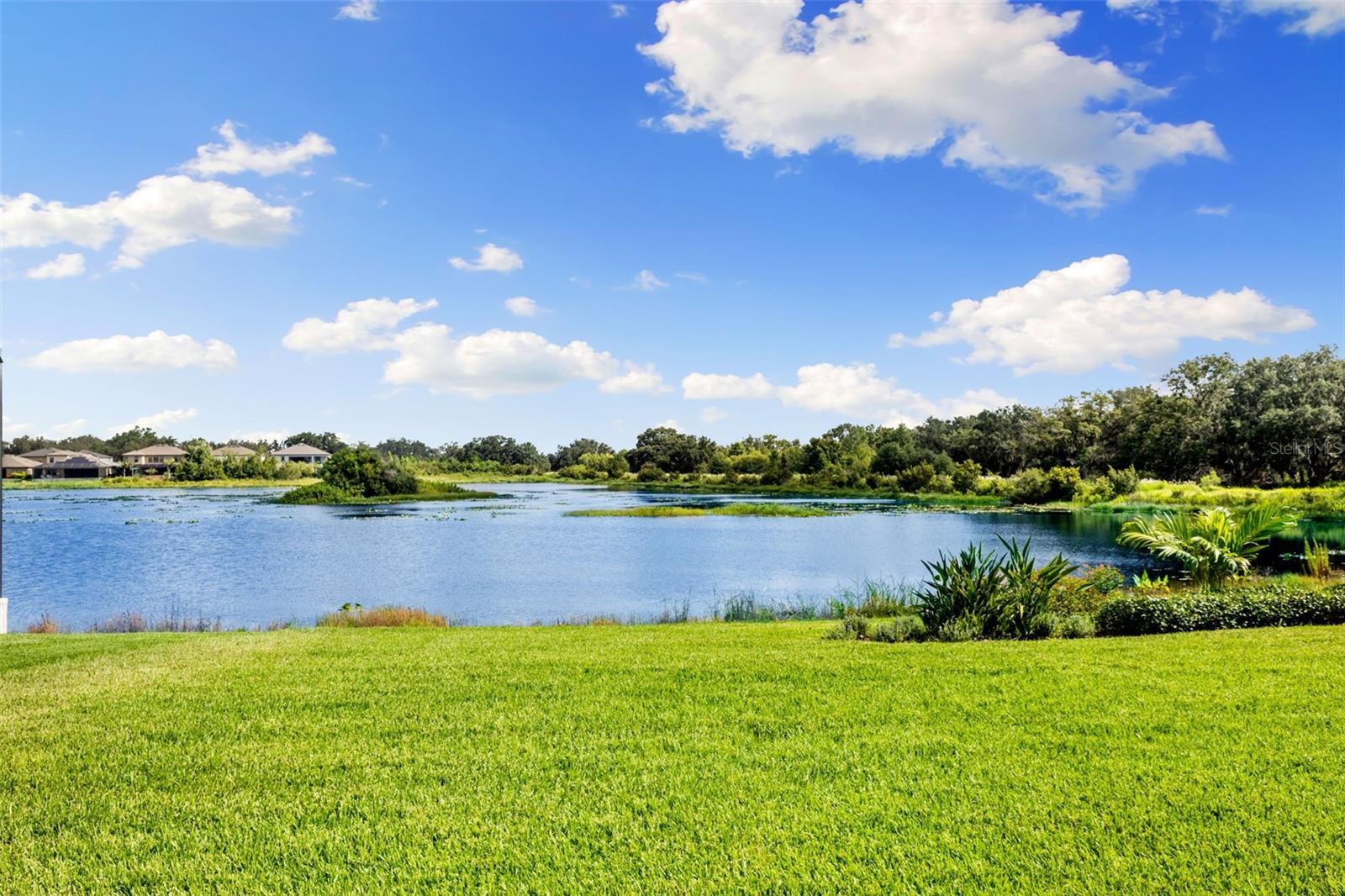 Image 41 of 57 For 12821 Satin Lily Drive
