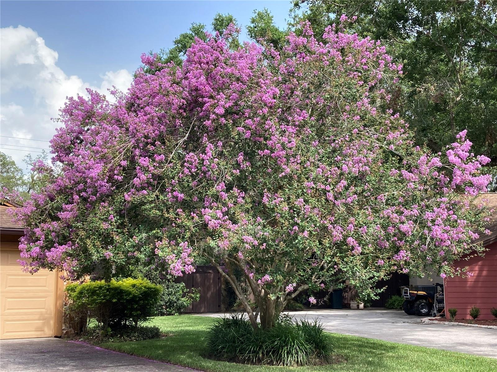 Listing photo id 27 for 6709 Peachtree Drive