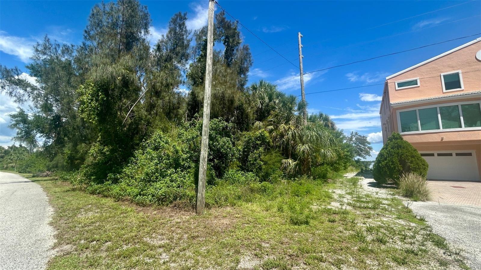 Listing photo id 10 for Weedon Drive Ne