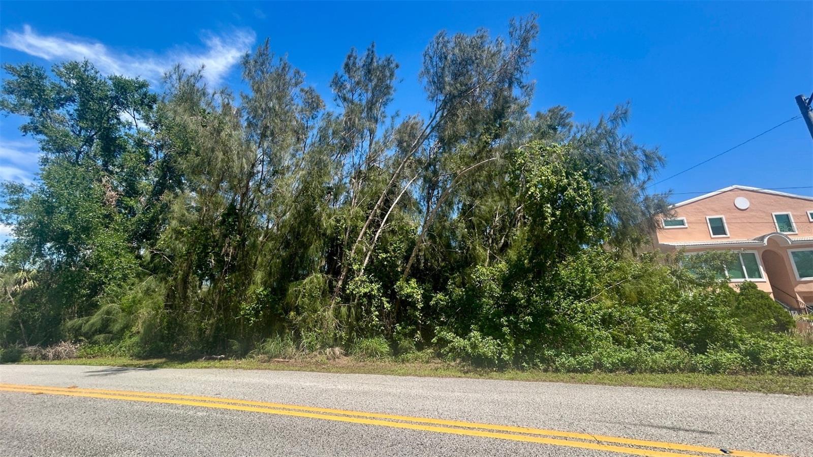 Listing photo id 12 for Weedon Drive Ne