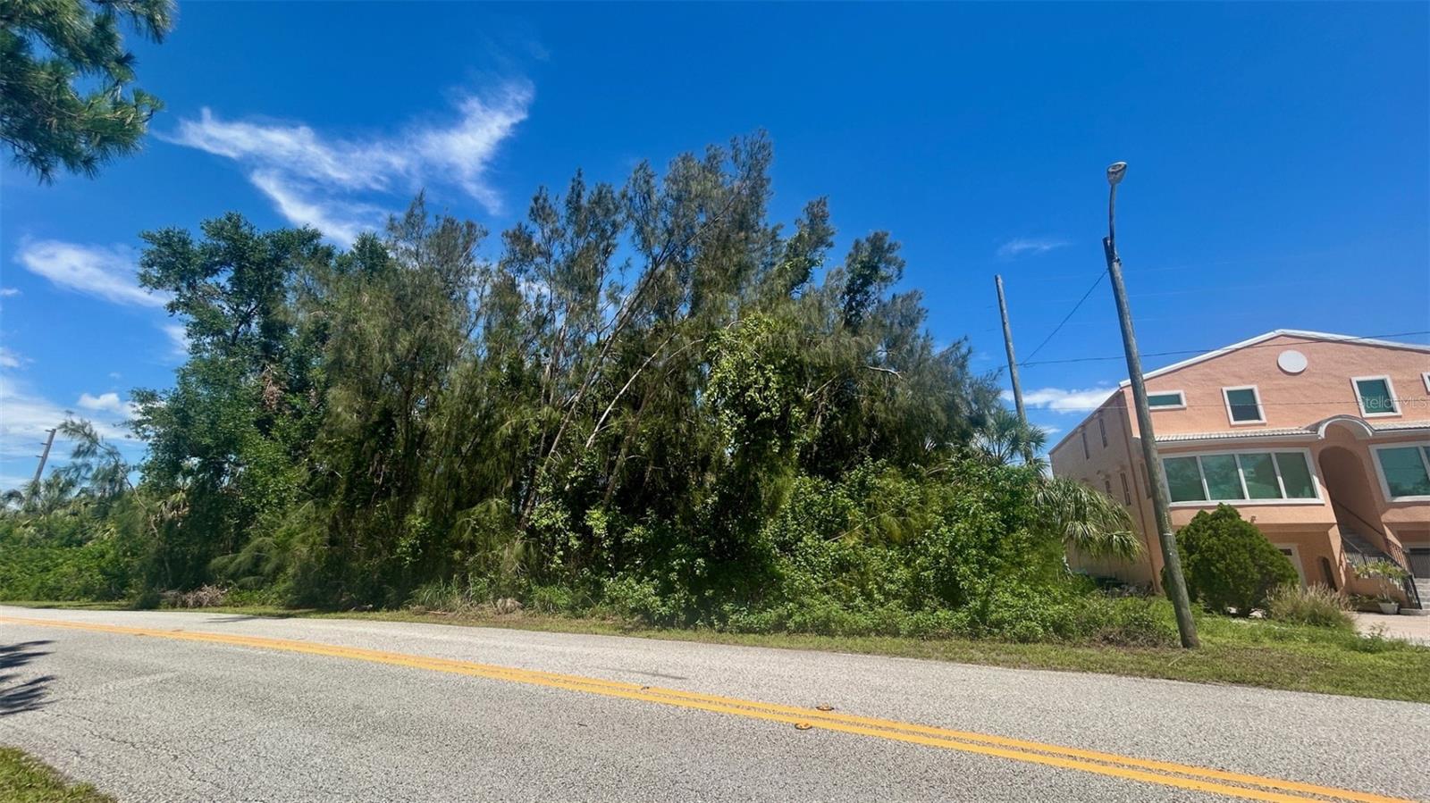 Listing photo id 19 for Weedon Drive Ne