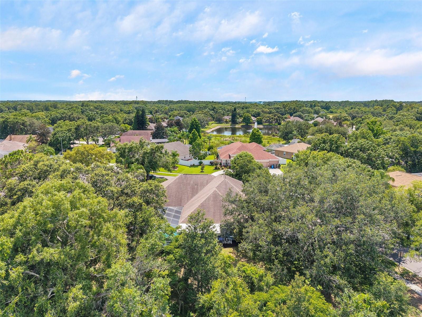 Image 67 of 72 For 9202 Brindlewood Drive