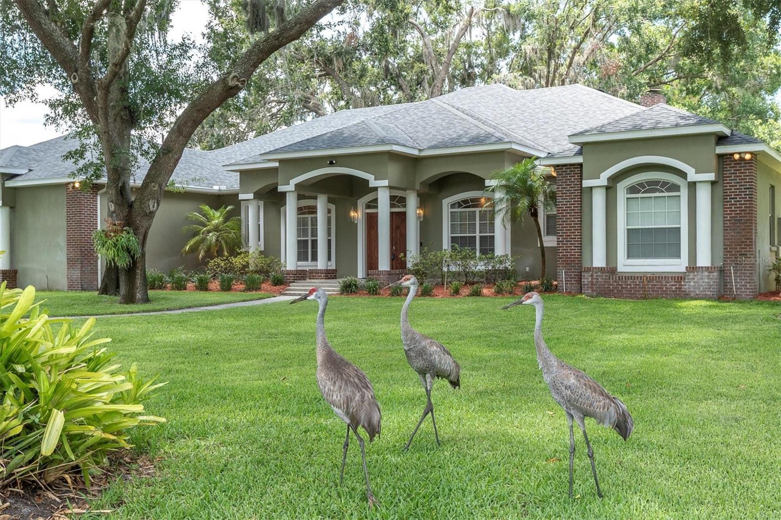 Image 4 of 61 For 11008 Nest Court
