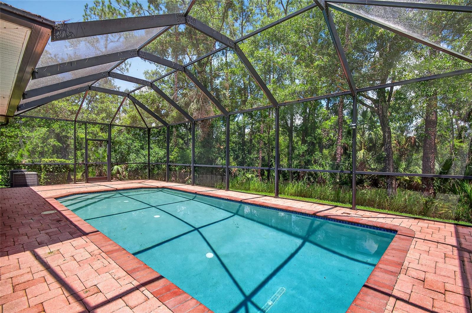 Image 50 of 65 For 16102 Colchester Palms Drive