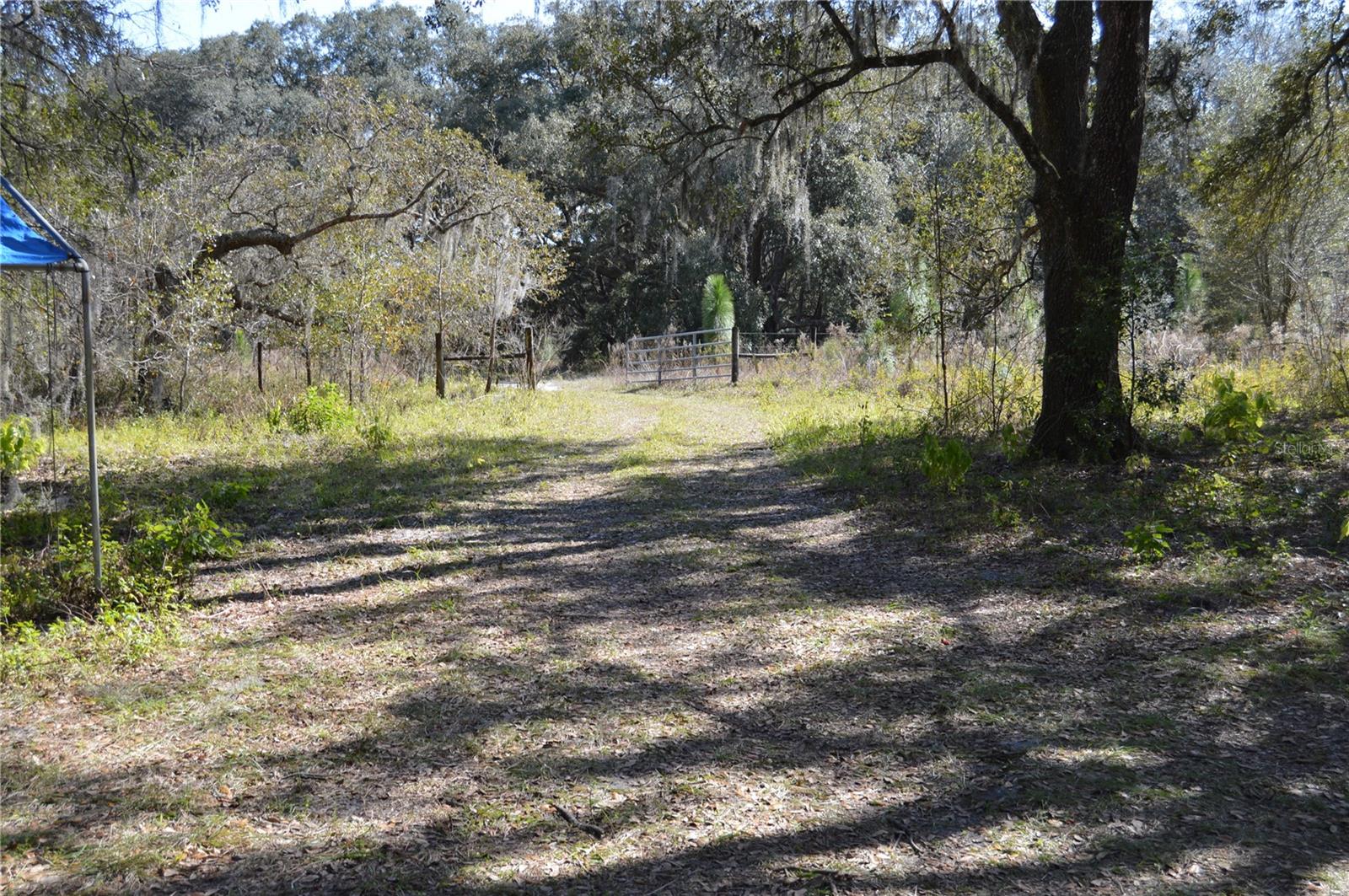Image 6 of 66 For 00 Unnamed  