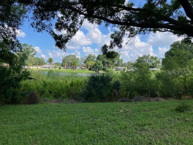 Listing photo id 5 for 9312 Armenia Avenue