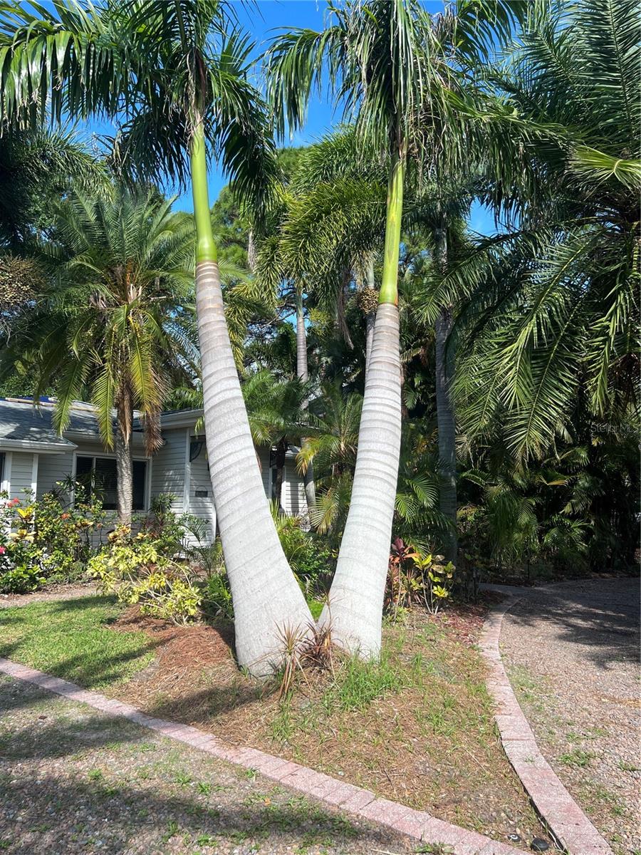 Image 8 of 8 For 715 Riverside Drive