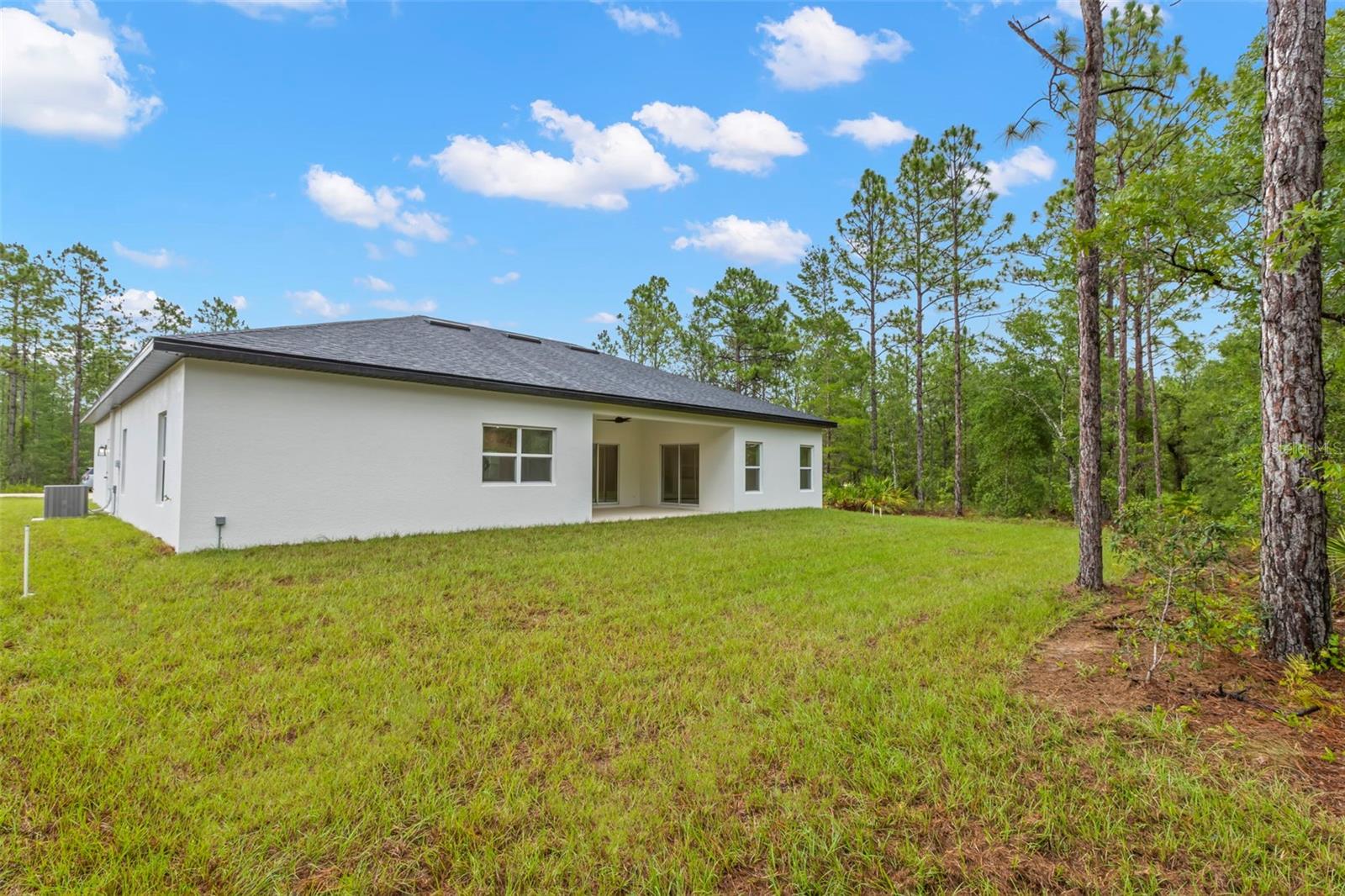 Listing photo id 37 for 13332 Schick Avenue