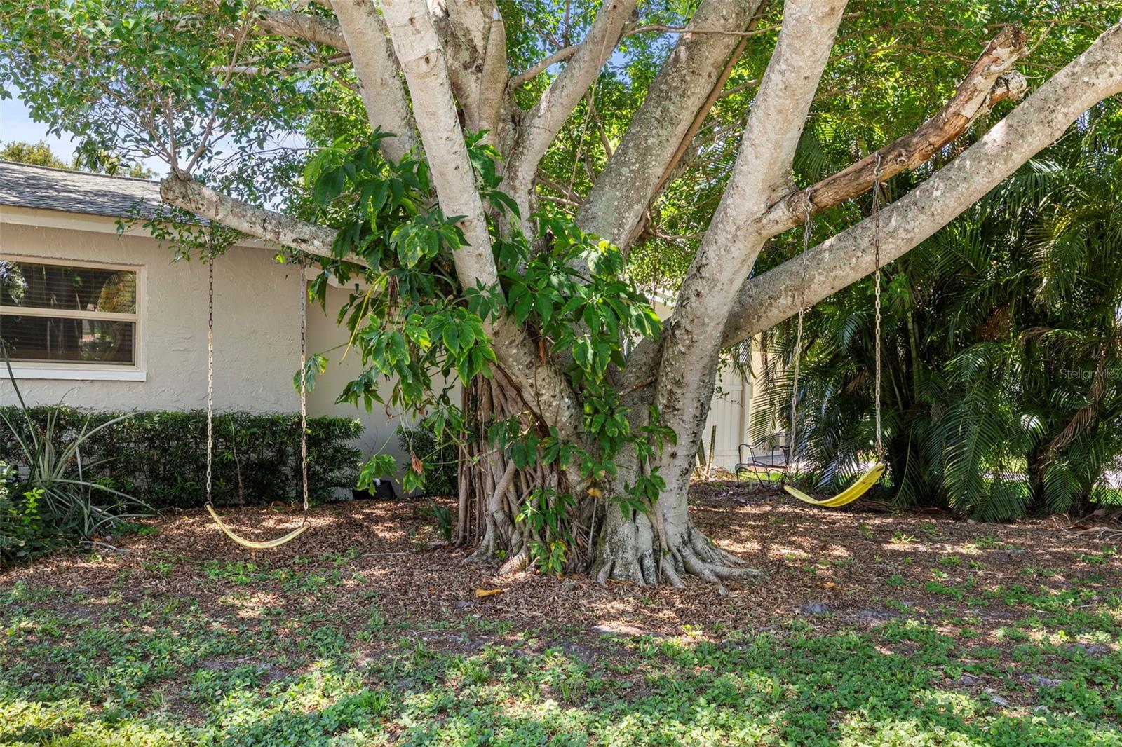 Listing photo id 40 for 4530 Catalonia Way S