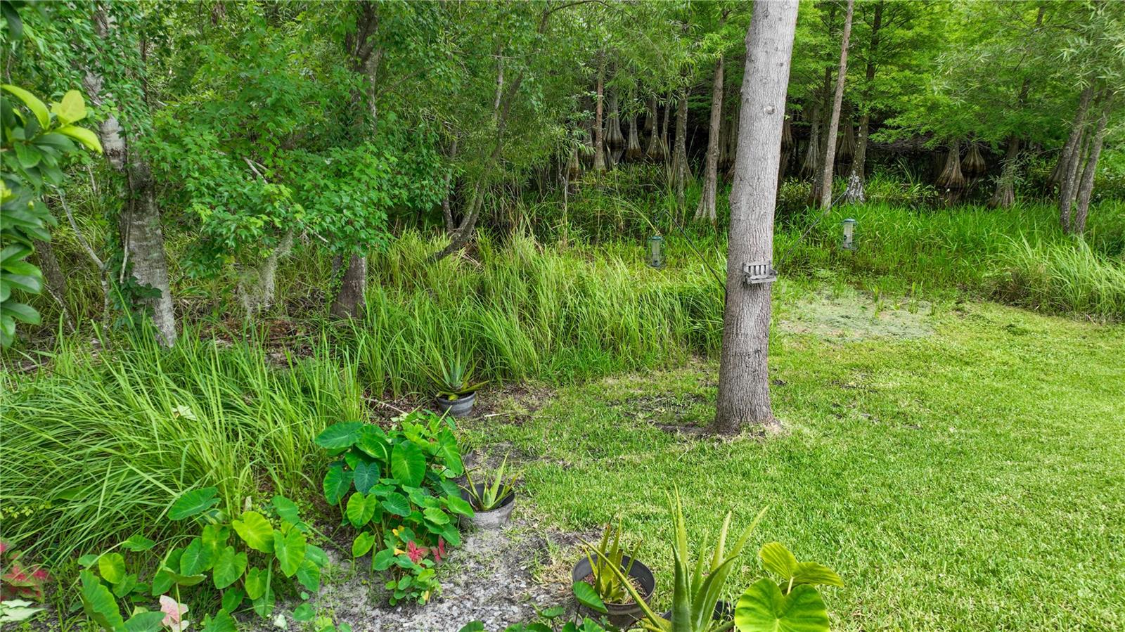 Image 59 of 100 For 25435 Bruford Boulevard