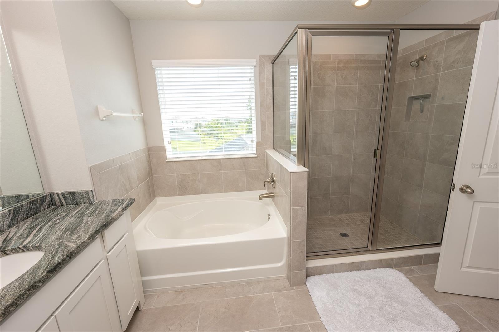Image 40 of 83 For 3052 Living Coral Drive