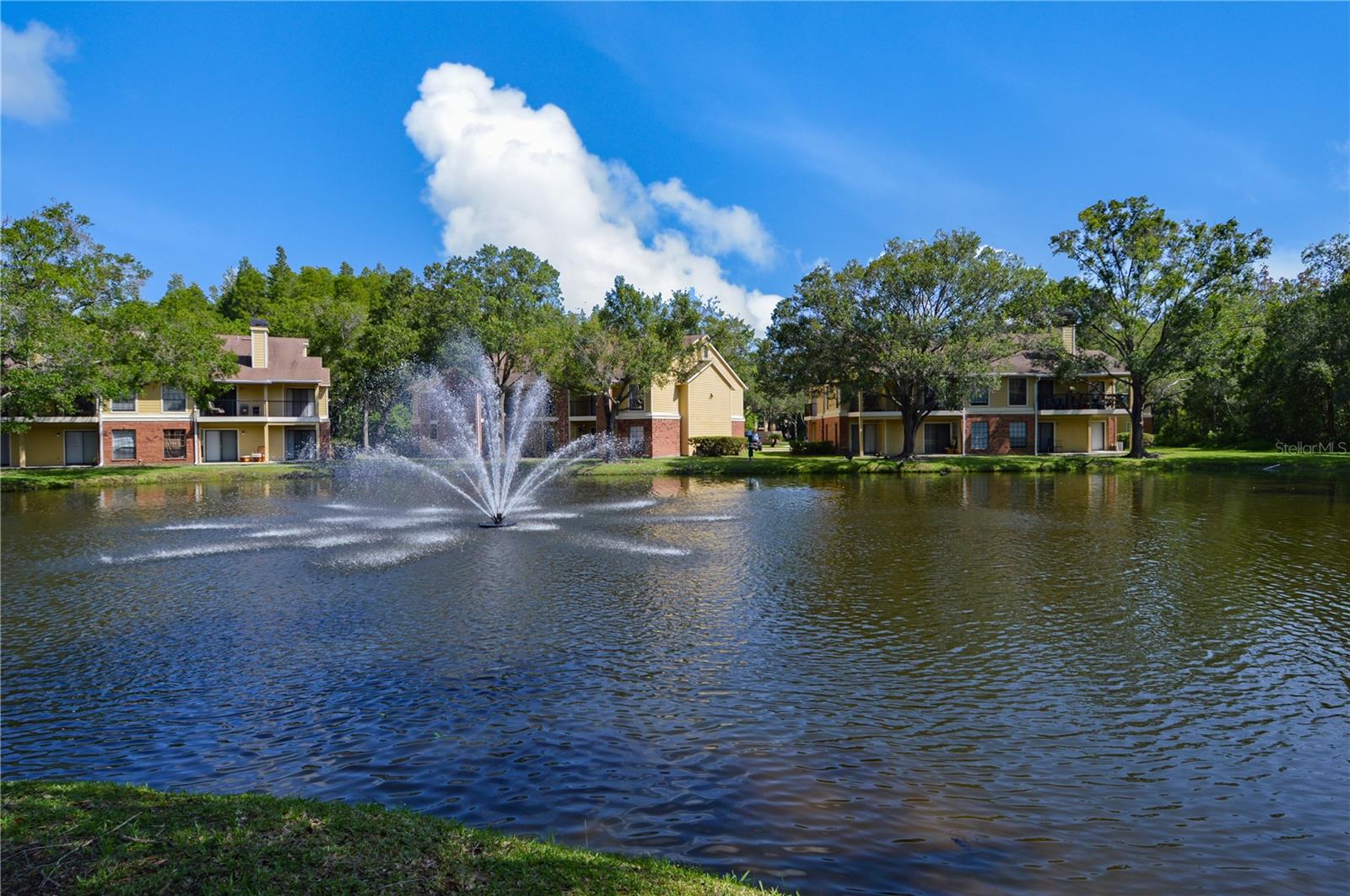 Image 49 of 87 For 8638 Fancy Finch Drive 101