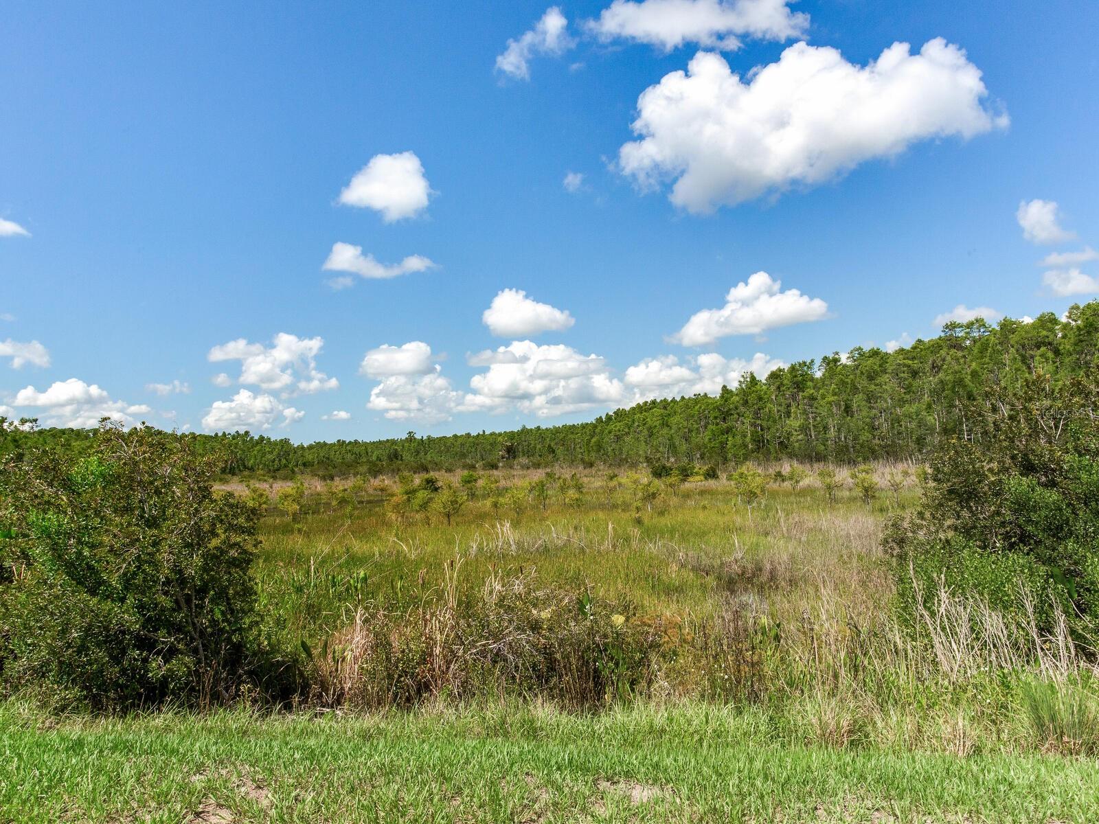 Listing photo id 65 for 6057 Marsh Trail Drive