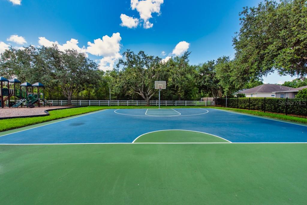 Image 41 of 43 For 27652 Sky Lake Circle