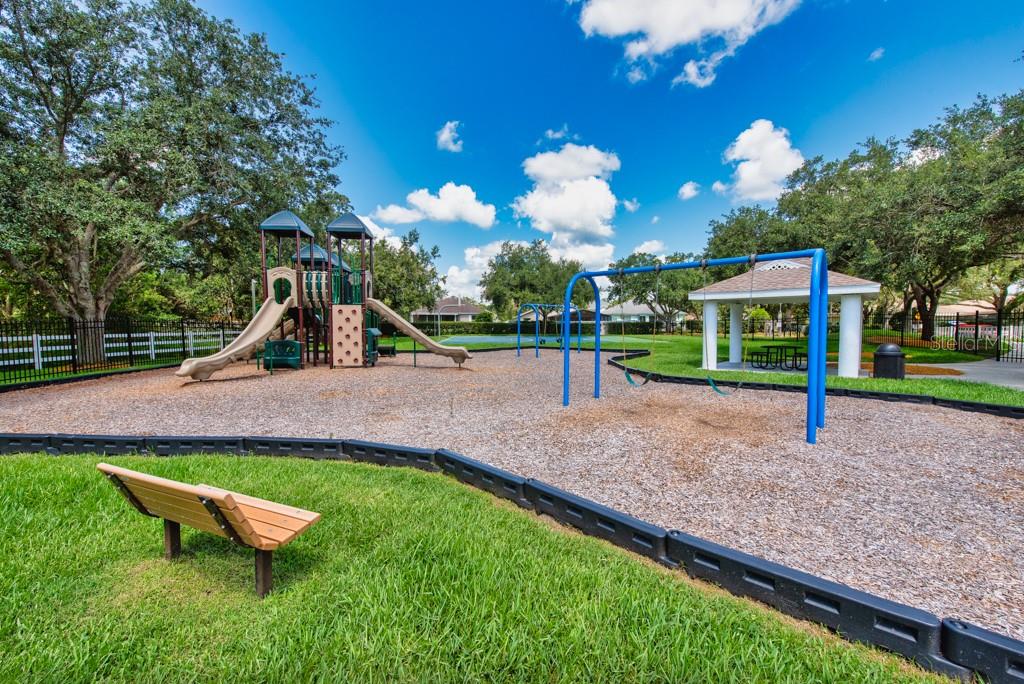 Image 42 of 43 For 27652 Sky Lake Circle