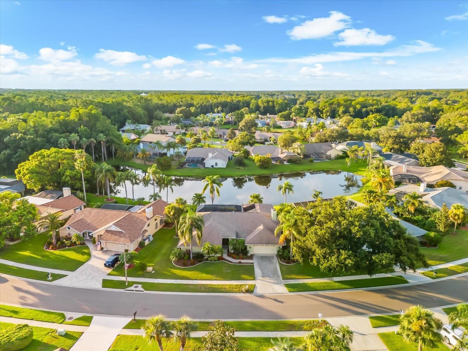 Image 54 of 61 For 3360 Hickorywood Way