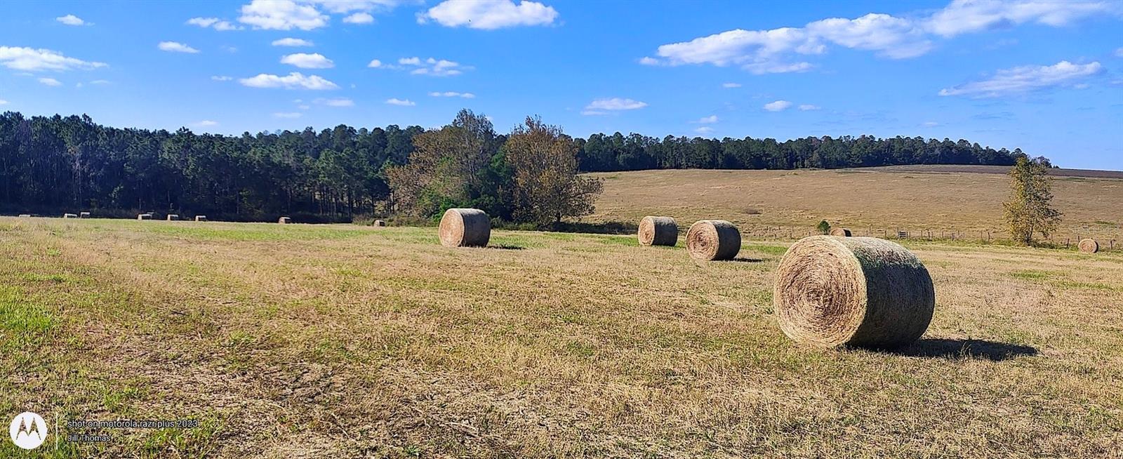 Image 16 of 18 For 0 Hilltop Horizons Place