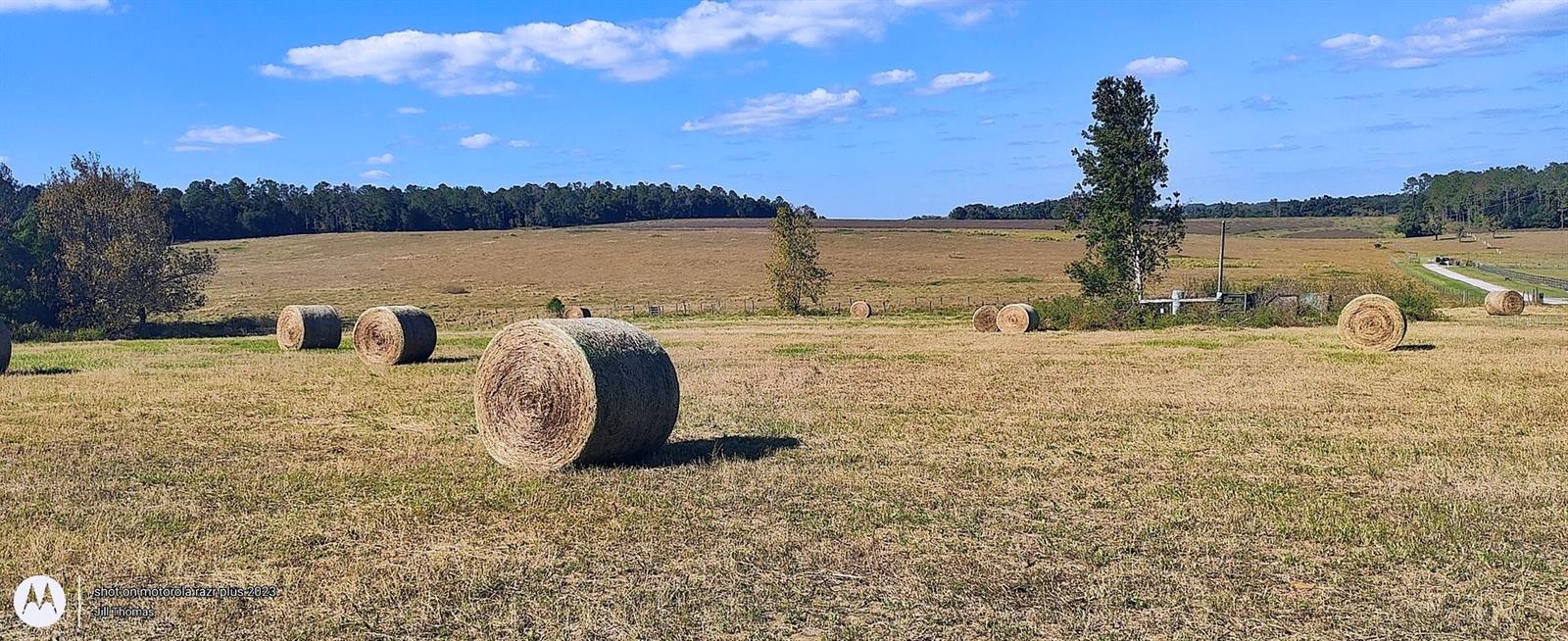 Image 17 of 18 For 0 Hilltop Horizons Place