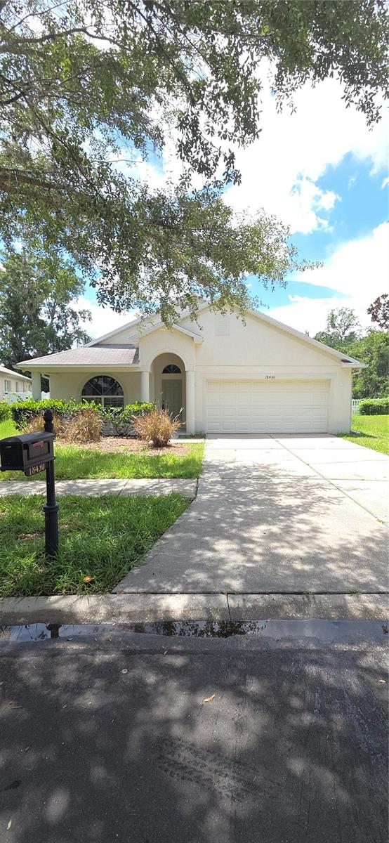 Details for 18430 Red Willow Way, LAND O LAKES, FL 34638