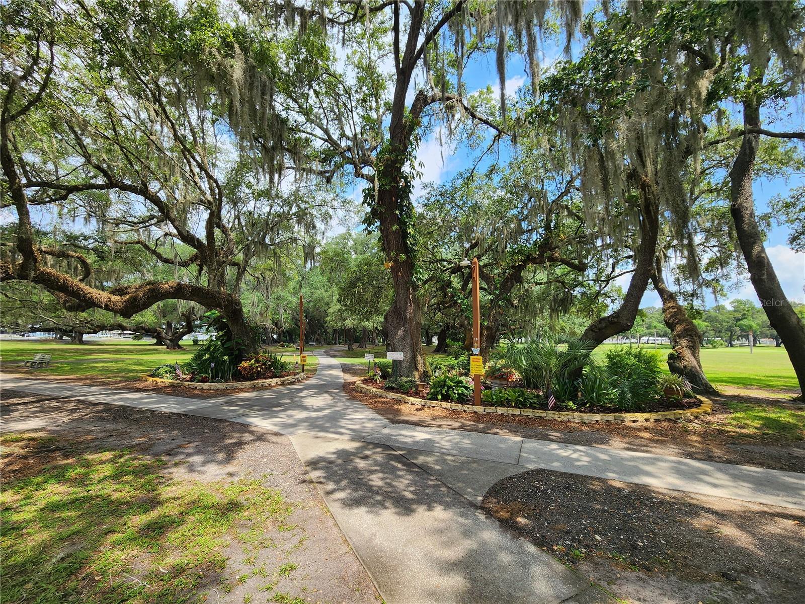 Image 37 of 47 For 36801 Camelia Court
