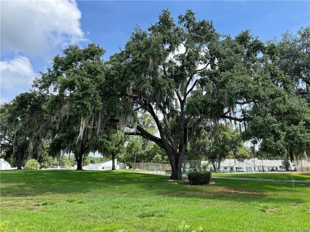 Listing photo id 16 for 6847 Queensbury Lane