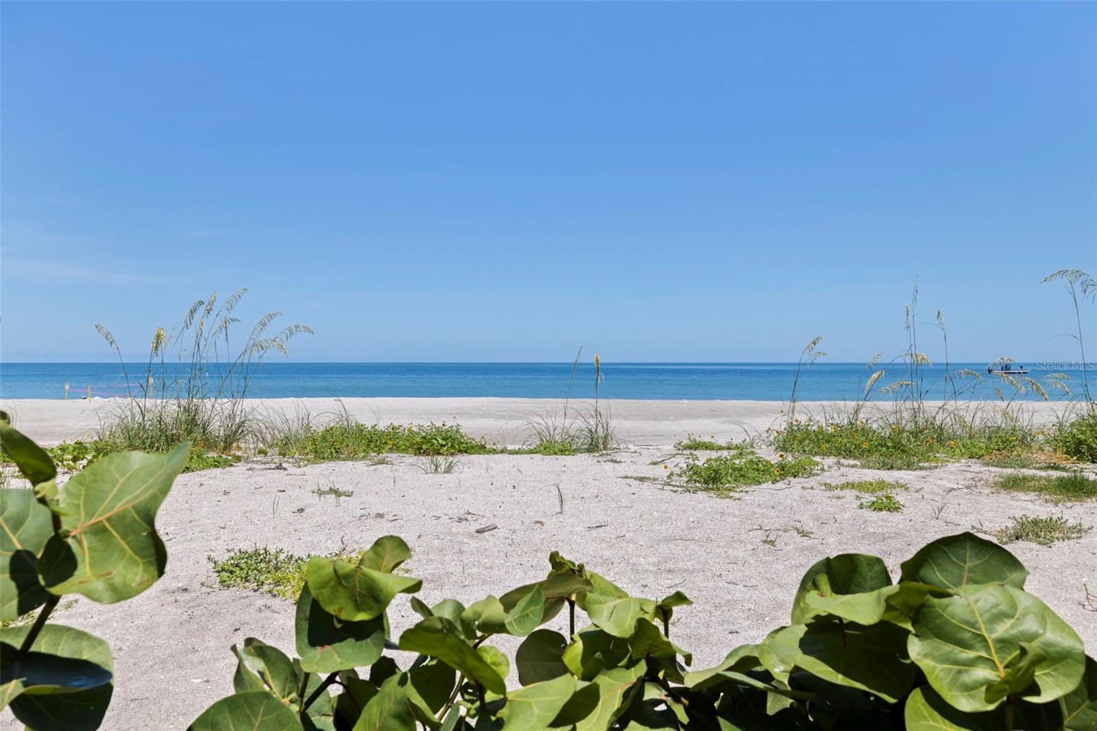 Image 72 of 81 For 1520 Gulf Boulevard 1502