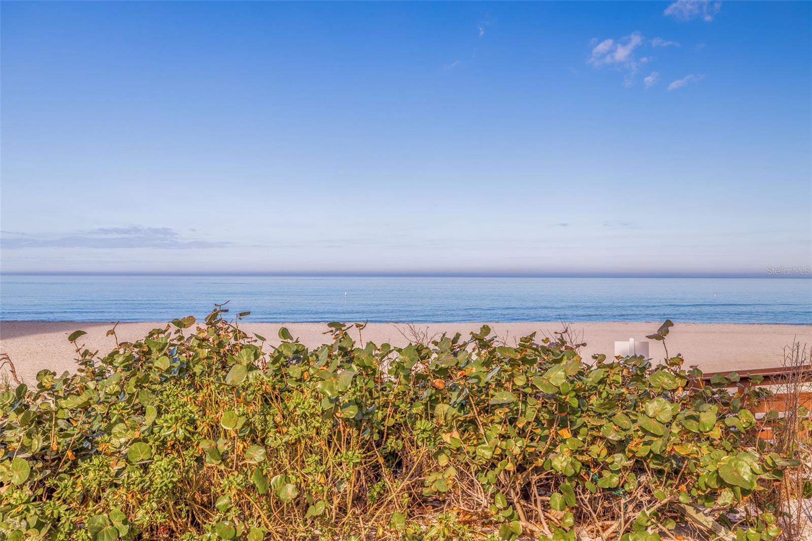 Image 74 of 81 For 1520 Gulf Boulevard 1502