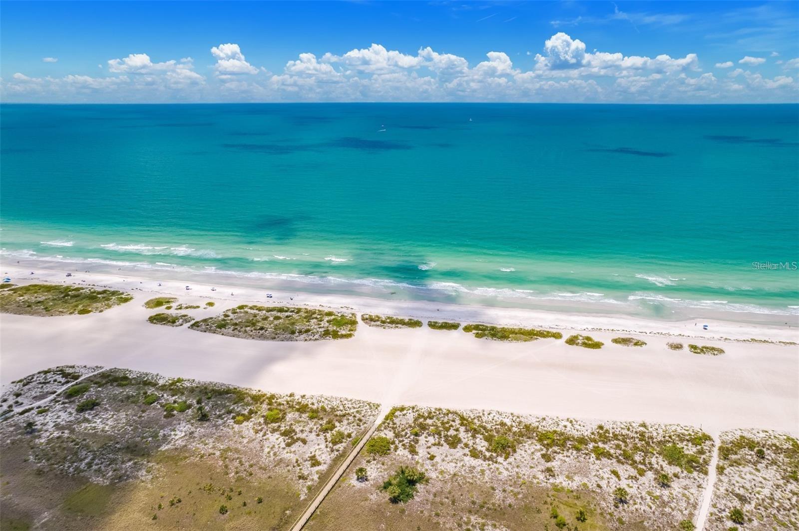 Image 5 of 45 For 1230 Gulf Boulevard 1606