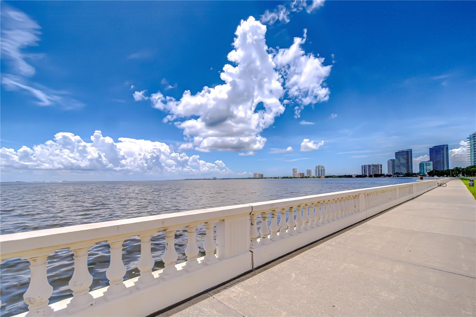 Image 36 of 38 For 2413 Bayshore Boulevard 1903