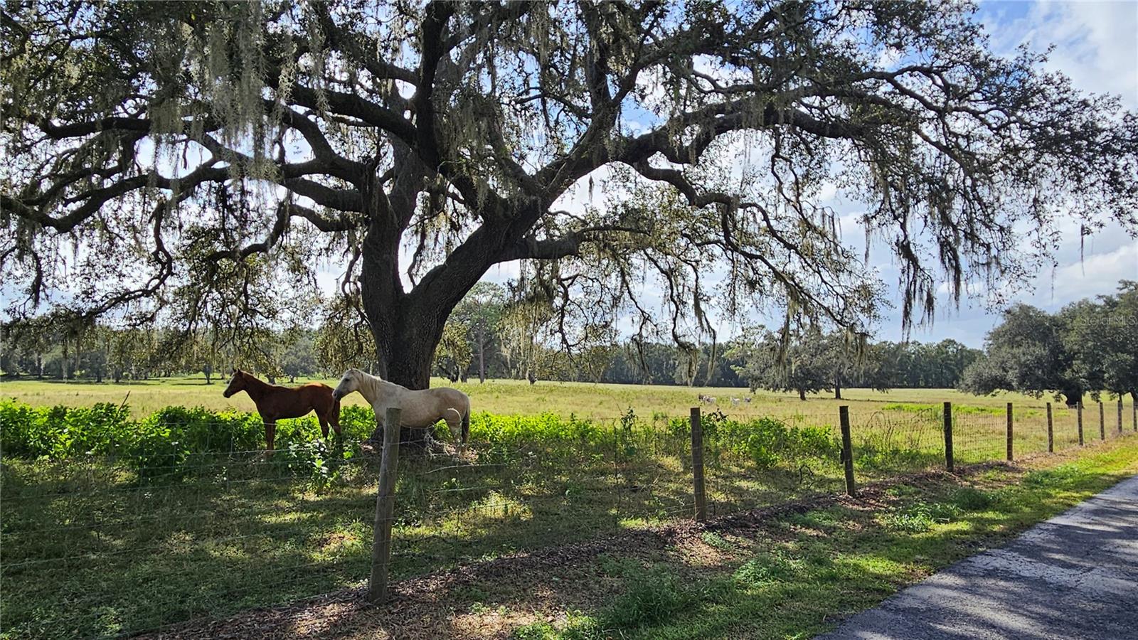 Image 66 of 67 For 21451 Us Highway 98
