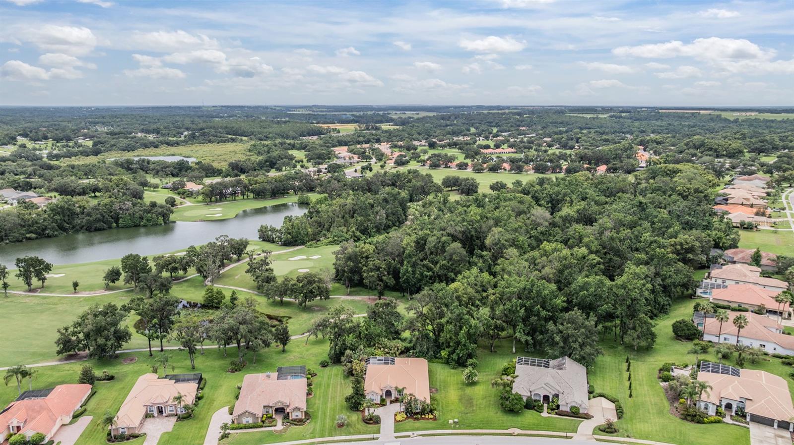 Listing photo id 47 for 13816 Thoroughbred Drive