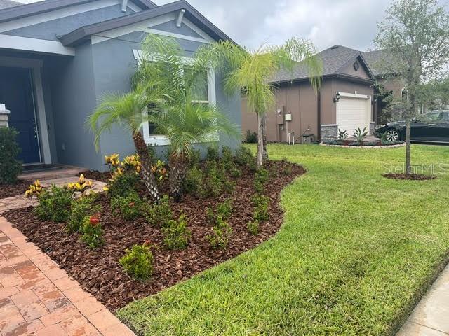 Details for 19259 Briarbrook Drive, TAMPA, FL 33647