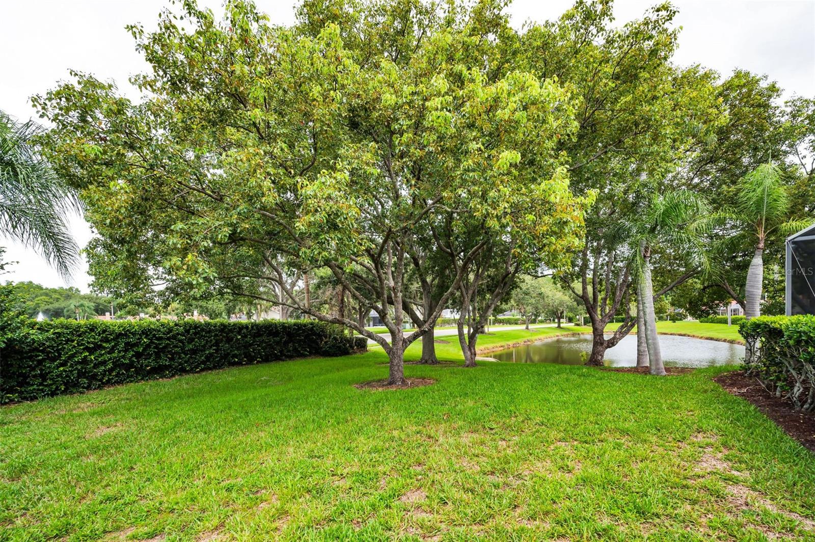Listing photo id 49 for 5633 Wellington Court