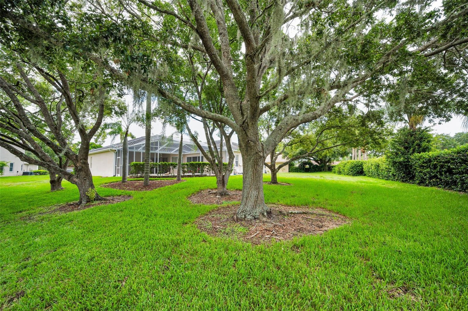 Listing photo id 50 for 5633 Wellington Court