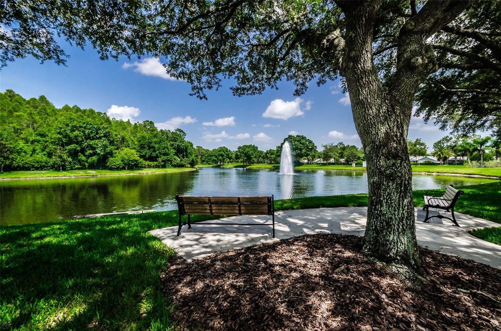 Listing photo id 74 for 5633 Wellington Court