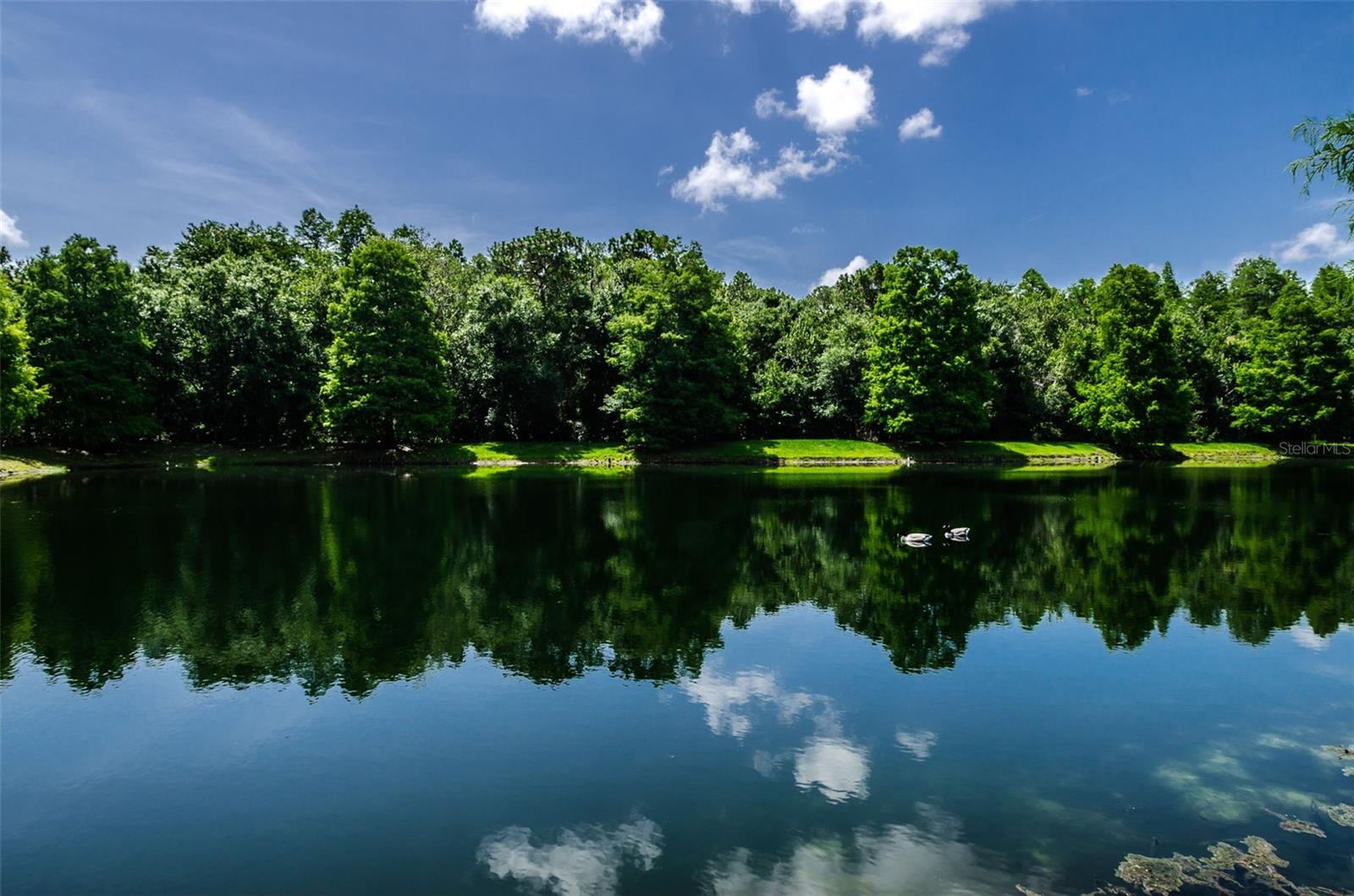 Listing photo id 77 for 5633 Wellington Court