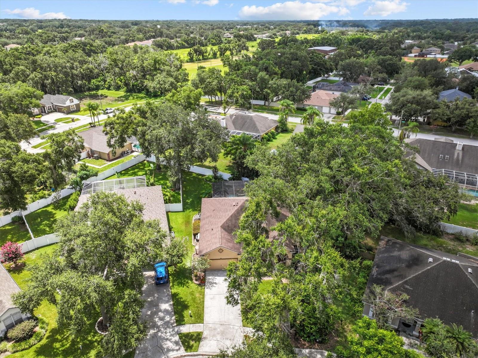 Listing photo id 56 for 2213 Mountain Meadow Way