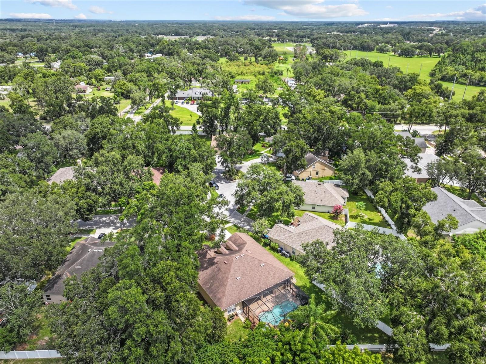 Listing photo id 58 for 2213 Mountain Meadow Way