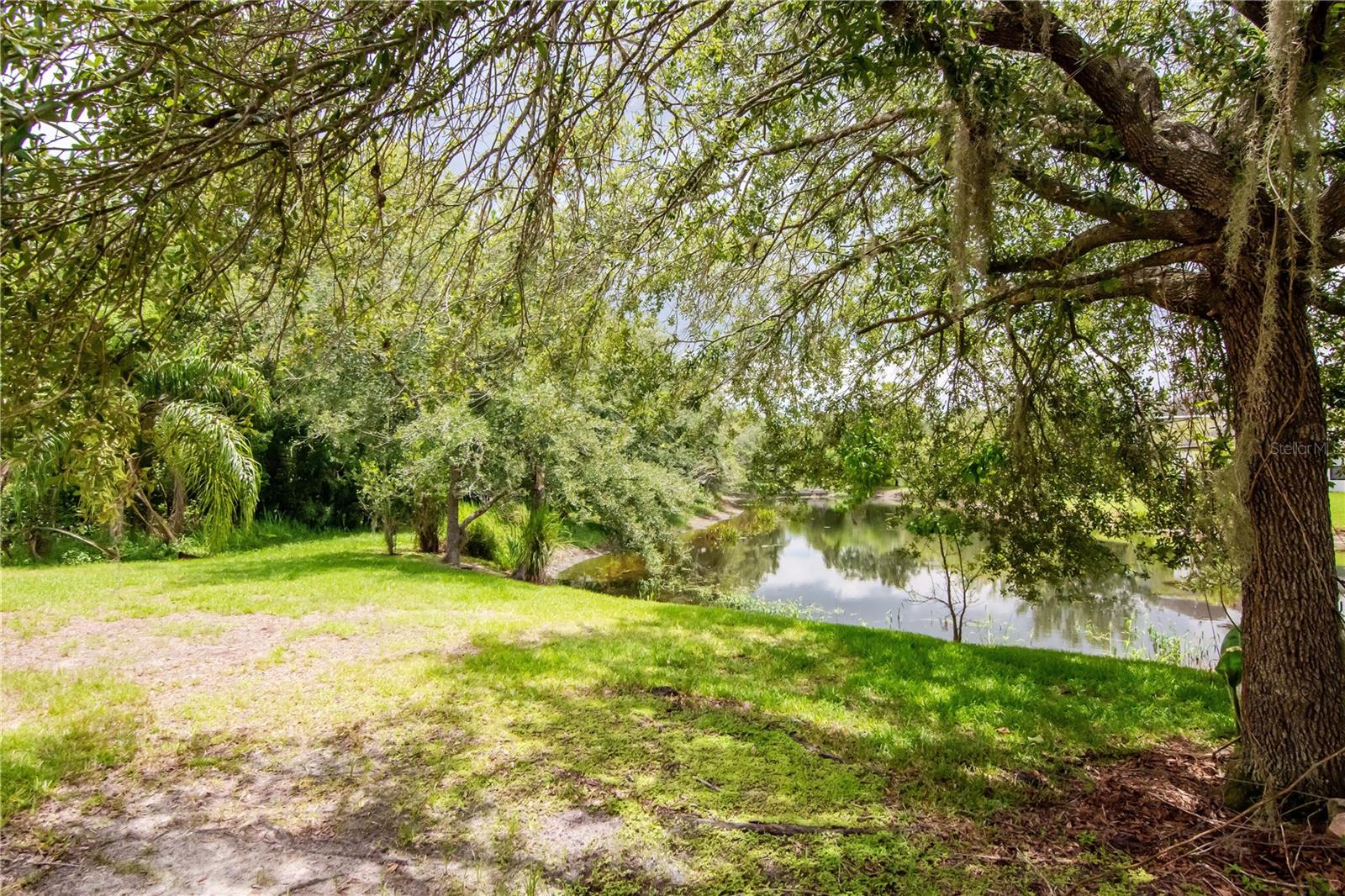 Listing photo id 35 for 16115 Colchester Palms Drive