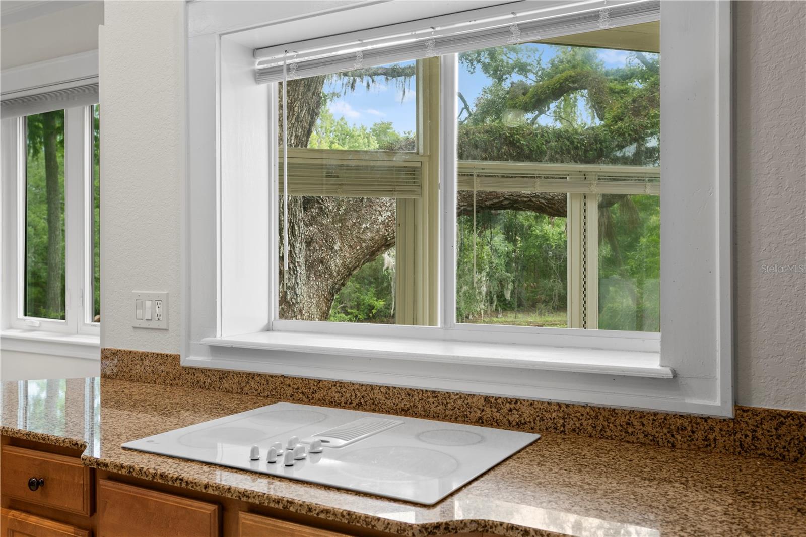 Image 17 of 58 For 11923 Riverhills Drive