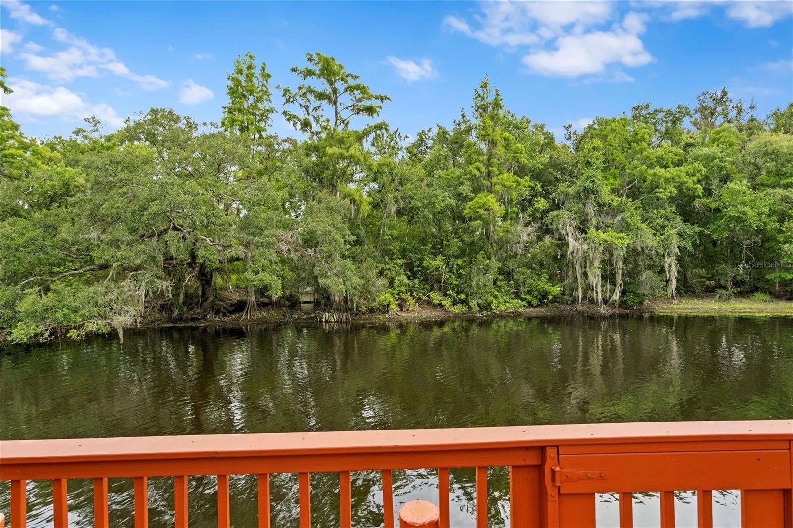 Image 46 of 58 For 11923 Riverhills Drive