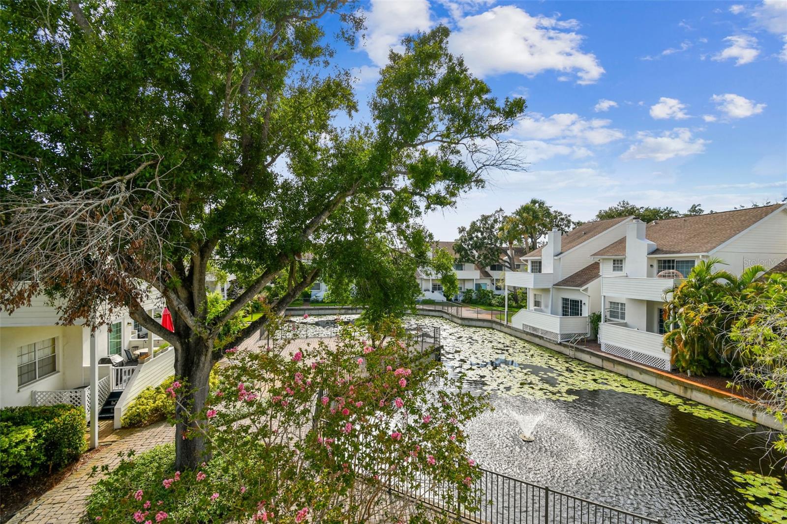 Image 36 of 56 For 5207 Bayshore Boulevard 16